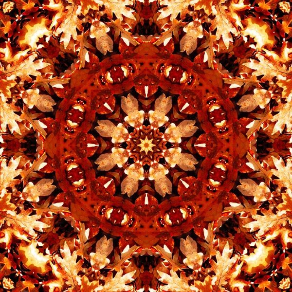 Streszczenie Tło Naturalne Mandali Mandala Cicle Kolor Jesiennych Liści Dębu — Zdjęcie stockowe