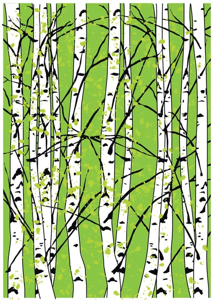 Sping vector illustration of beech trees forest. Beautiful birch trees. — Stock Vector