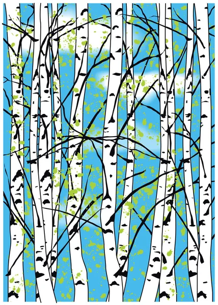 Color vector illustration of birch trees and blue sky with white clouds. — Stock Vector