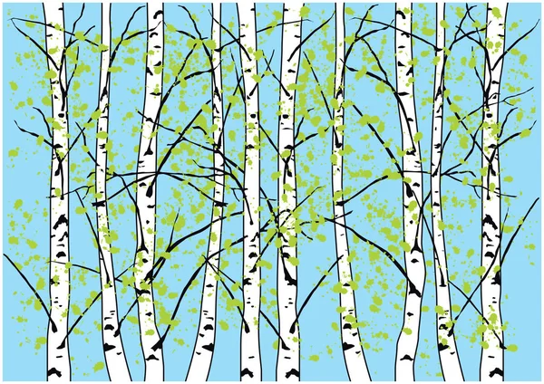 Spring birch trees illustration. Birch forest and blue sky. — Stock Vector