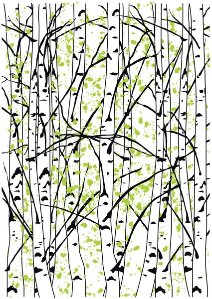 Illustration vectorielle couleur de la forêt de bouleaux de printemps . — Image vectorielle