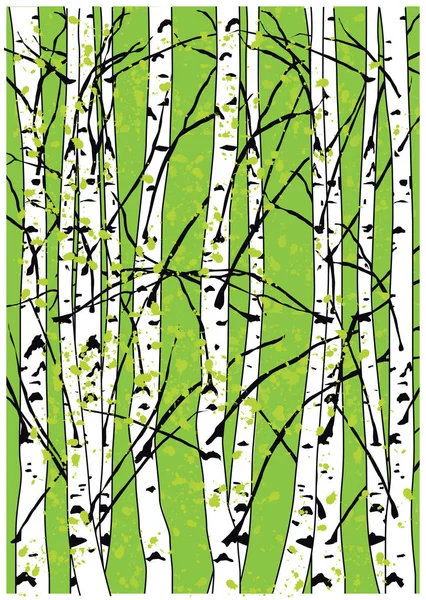 Sping vector illustration of beech trees forest. Beautiful birch trees. — Stock Illustration Sping vector illustration of beech trees forest. Beautiful birch trees. Stock Illustration