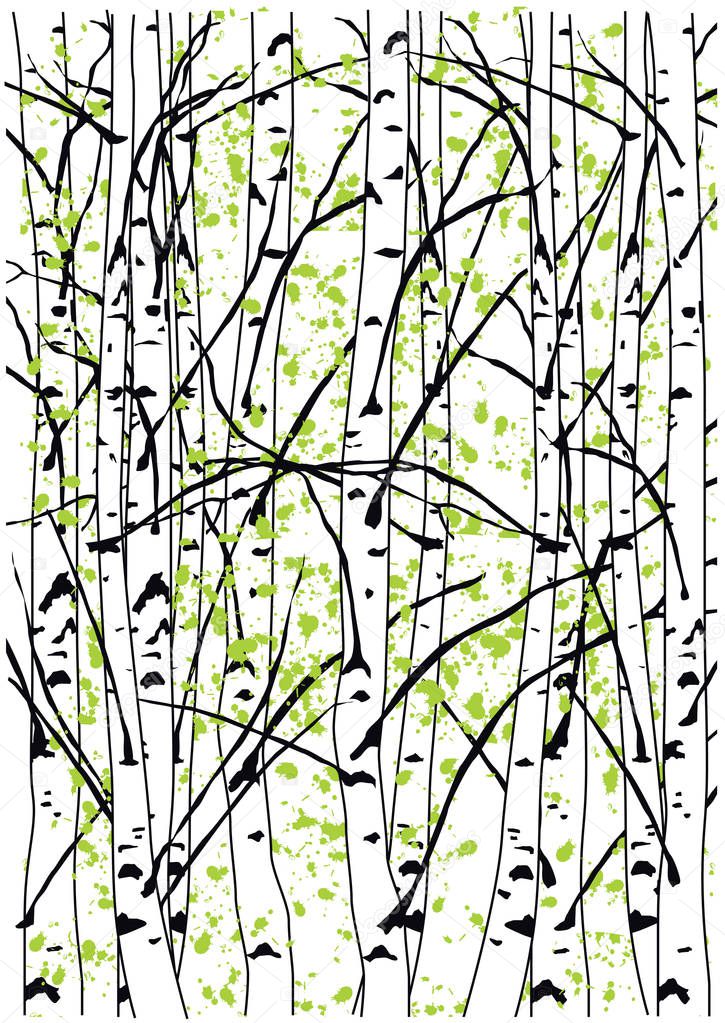 Color vector illustration of spring birch trees forest.