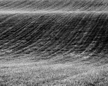 Alanlarının sanatsal siyah ve beyaz fotoğraf. Güzel kırsal fotoğraf.