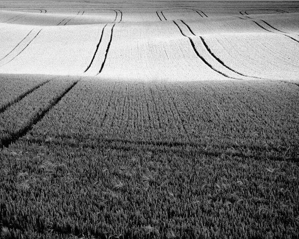 Artistic black and white photography of fields. Beautiful countryside photography.