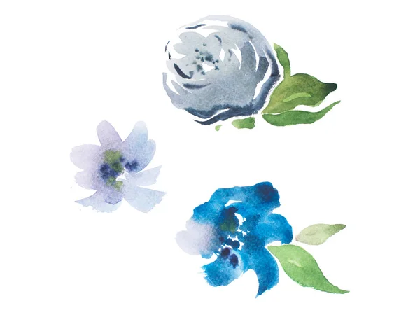 Akvarel, kresba čerstvých zahradních květin — Stock fotografie