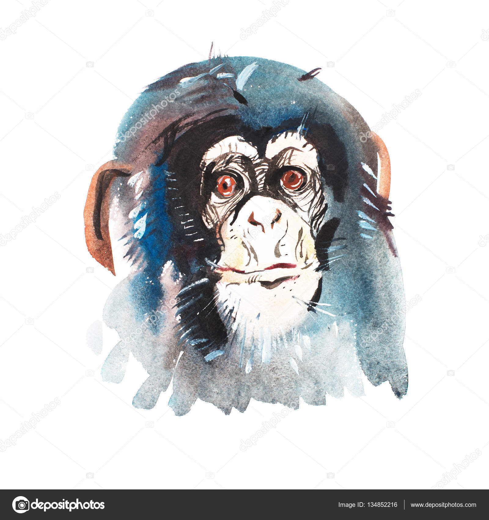 Ilustração vetorial desenhada à mão com alto detalhe de dois macacos, desenho  realista, esboço