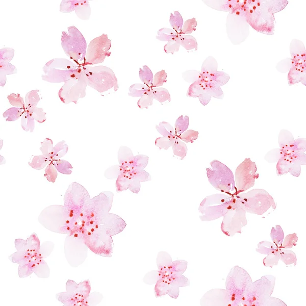 Frische Gartenblumen — Stockfoto