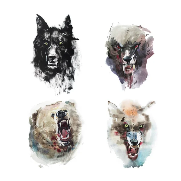 怒っている見るオオカミとクマの描く水彩画 — ストック写真