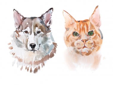 Çizim Kızıl saçlı kedi ve köpek aquarelle.