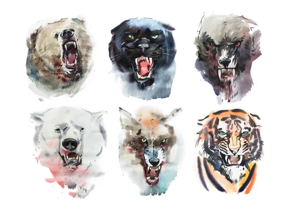 Watercolor drawing animals — Stock Photo, Image