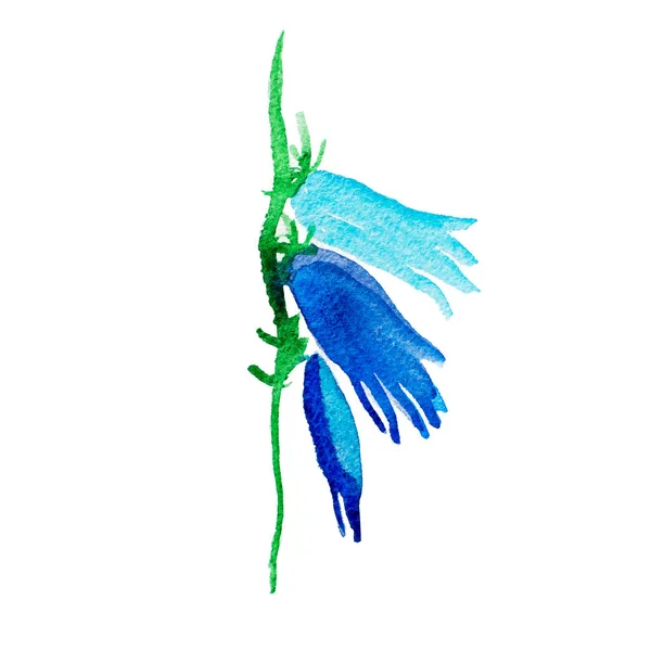 Aquarellzeichnung von frischen Gartenblumen — Stockfoto