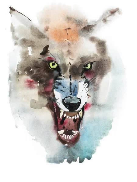 Watercolor drawing of angry wolf