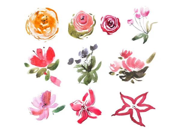 Acuarela dibujo del prado de verano flores frescas acuarela pintura —  Fotos de Stock