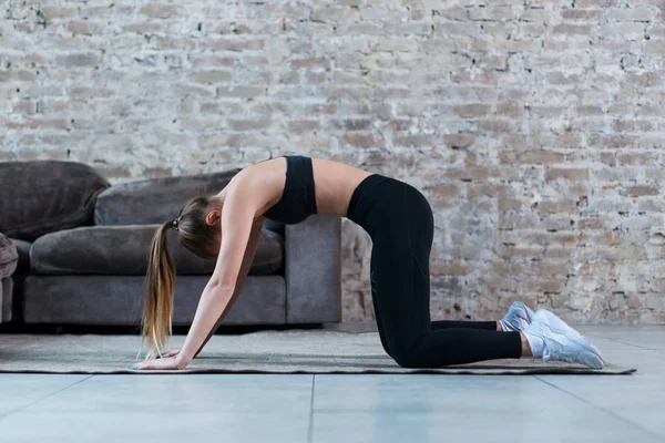 Fit joven caucásica mujer practicando yoga en casa de pie en gato y vaca pose arqueo su espalda —  Fotos de Stock