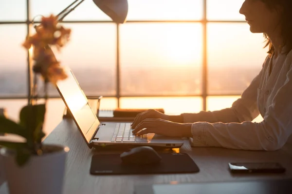 Foto vista lateral de uma programadora feminina usando laptop, trabalhando, digitando, navegando na internet no local de trabalho . — Fotografia de Stock