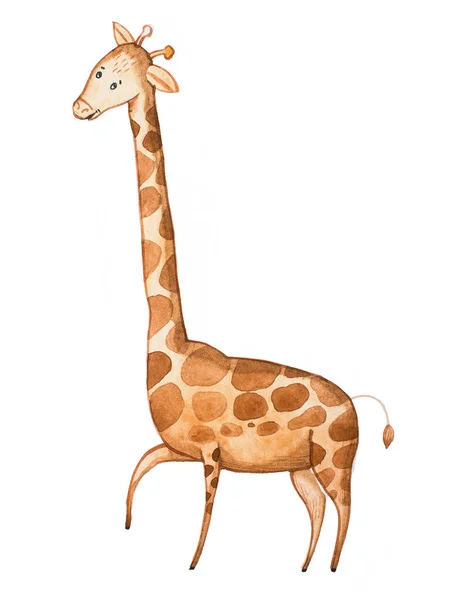 Aquarell-Illustration der lustigen Cartoon-Giraffe auf Papier gezeichnet — Stockfoto