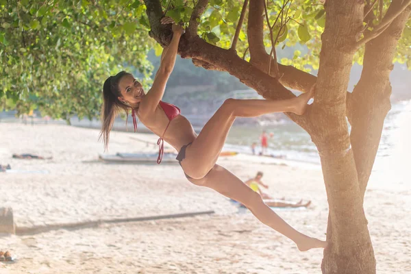 Mutlu ince beyaz kız bikini asılı veya ağaç beach Resort tırmanma eğleniyor. — Stok fotoğraf