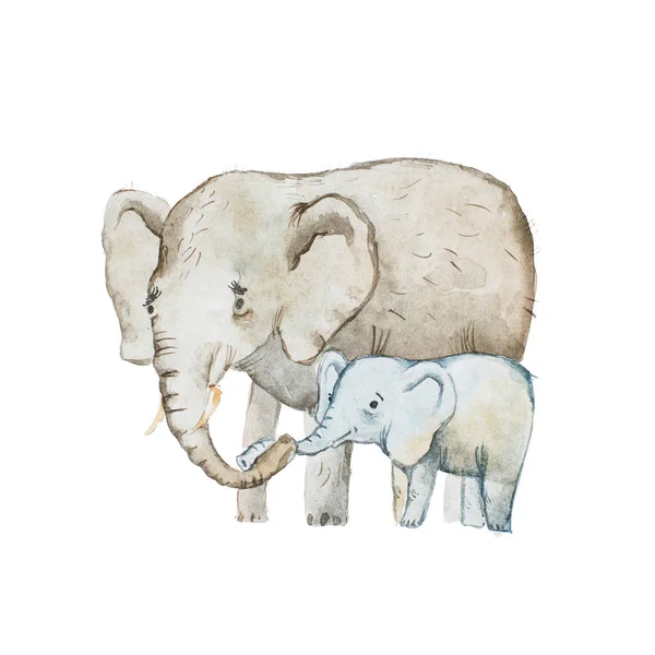 Dibujo en acuarela de la familia del elefante, madre y ternera — Foto de Stock