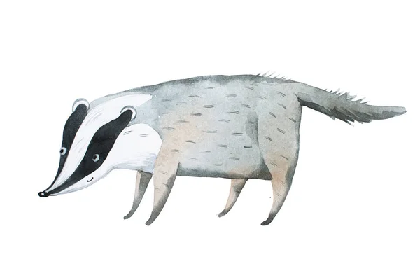 Ręcznie rysowane akwarela Badger ilustracja Aquarelle — Zdjęcie stockowe