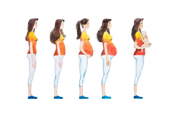 Καρτούν εικονογράφηση των σταδίων της εγκυμοσύνης. Πλευρά προβολή εικόνας από έγκυο γυναίκα δείχνει τις αλλαγές στο σώμα της — Φωτογραφία Αρχείου