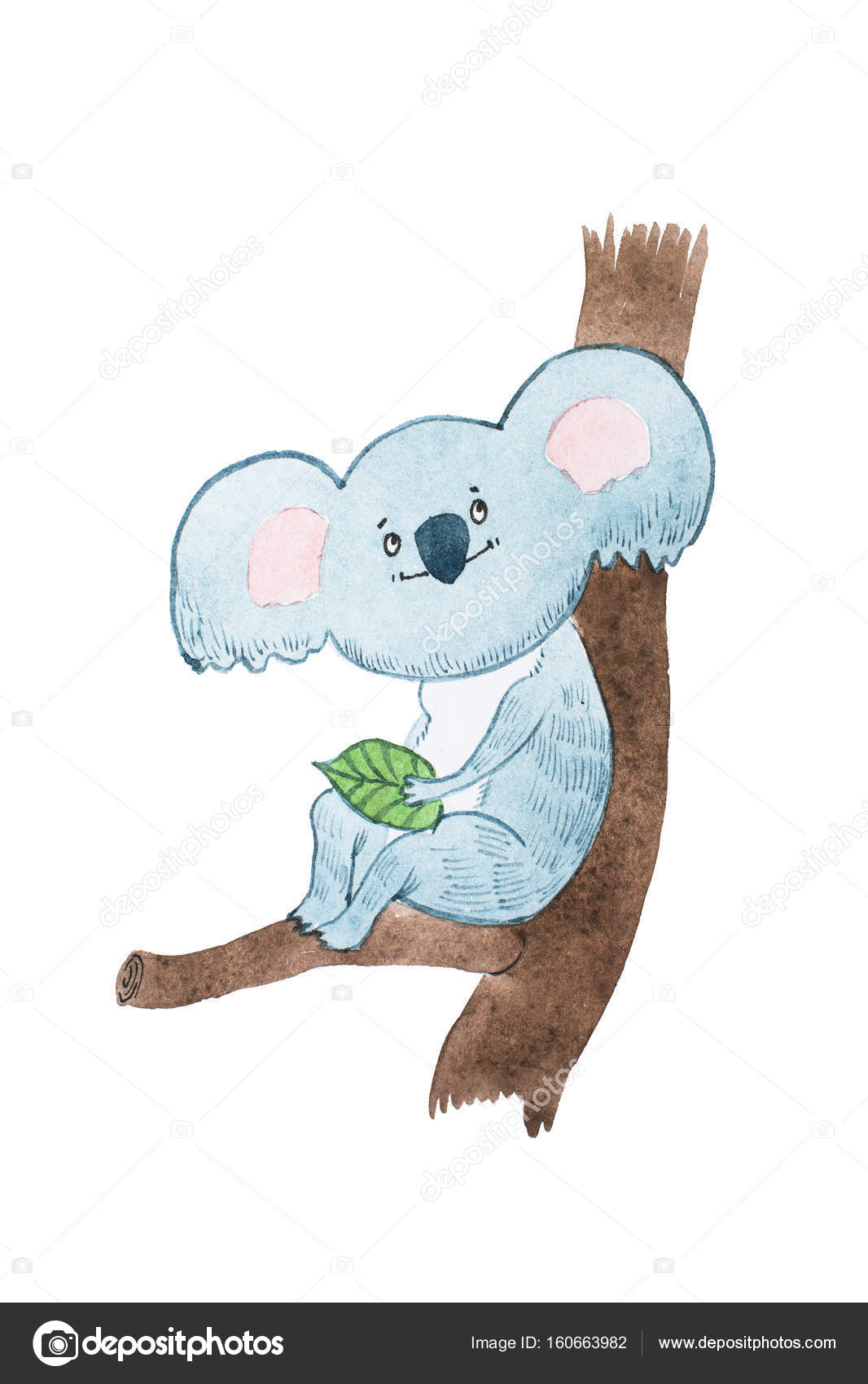 Aquarelle drawing of dreamy cartoon koala bear holding a leave sitting on a tree branch Stock Photo by ©undrey 160663982 Aquarelle drawing of dreamy cartoon koala bear holding a leave sitting on a tree branch Stock Photo by ©undrey 160663982