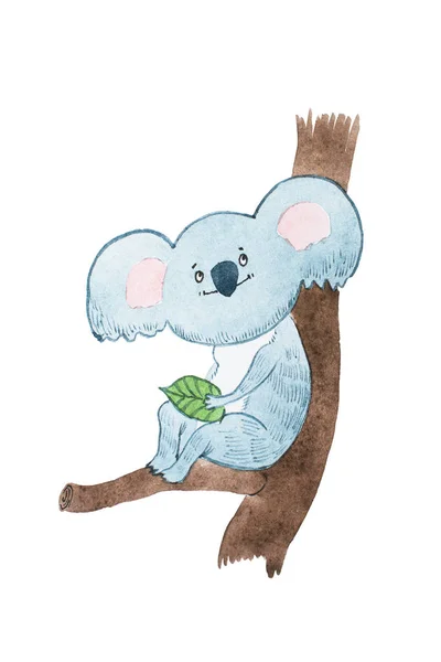 Aquarelle drawing of dreamy cartoon koala bear holding a leave sitting on a tree branch — Stock Photo, Image