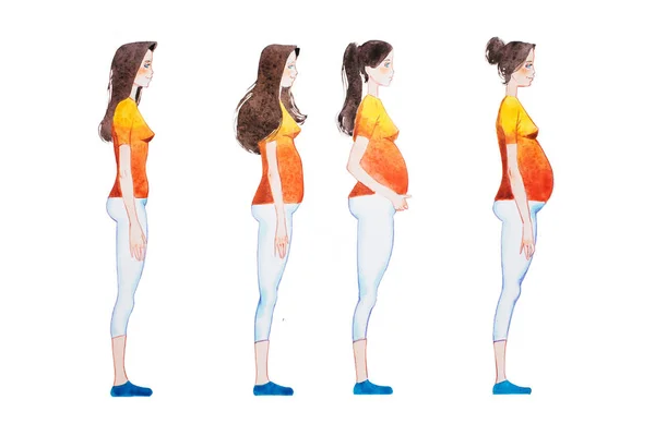 Dibujos animados ilustración de etapas del embarazo. Imagen de vista lateral de una mujer embarazada que muestra cambios en su cuerpo —  Fotos de Stock