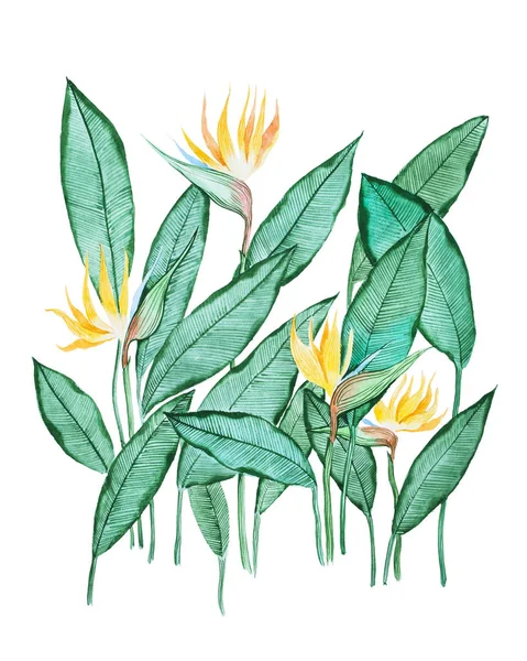 Peinture aquarelle dessinée à la main de feuilles vertes avec de petites fleurs jaunes sur fond blanc — Photo