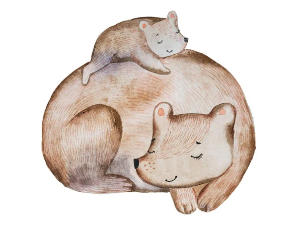 Милый мультяшный бурый медвежонок и маленький детёныш, лежащий на спине, спят вместе, нарисованные акварелью. . — стоковое фото