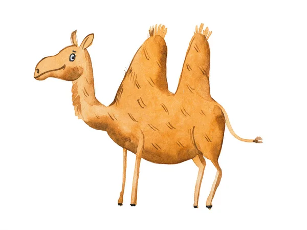 Ilustracja z rodzaju camel akwarela — Zdjęcie stockowe