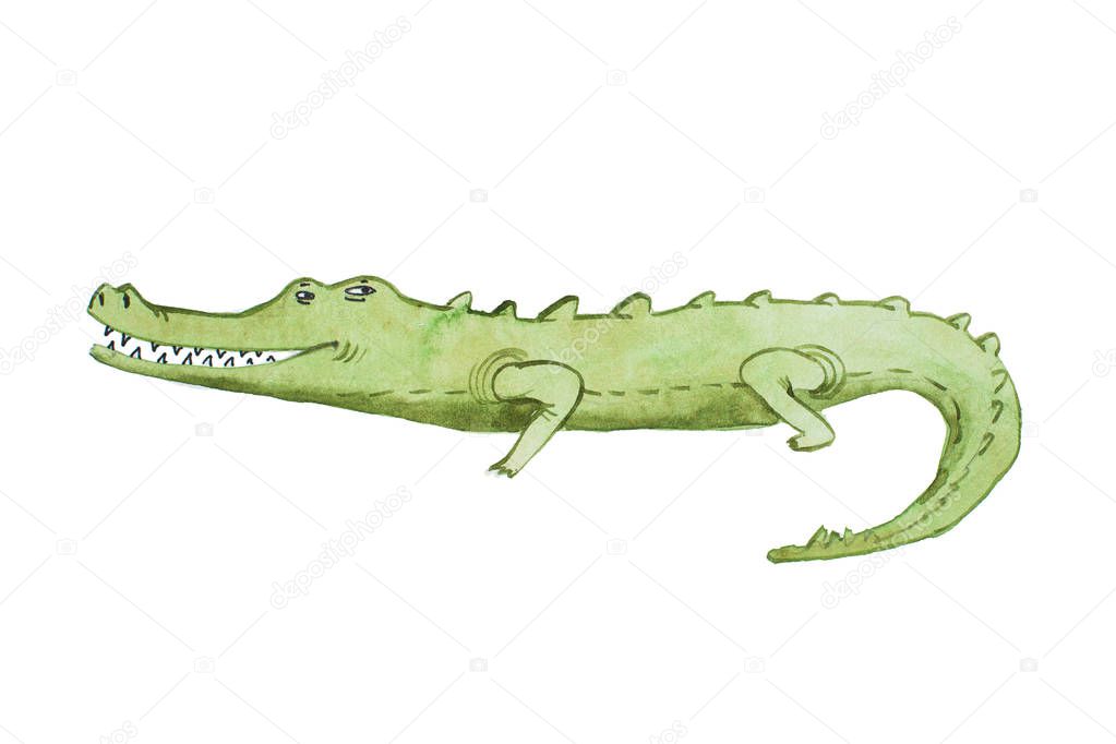 Watercolor illustration of crocodile hand drawn aquarelle
