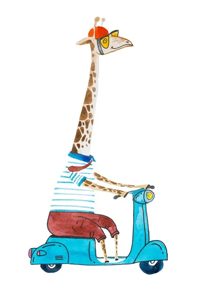 Akvarell tecknad giraff klädd i t-shit och byxor bär hjälm och solglasögon rider en skoter — Stockfoto