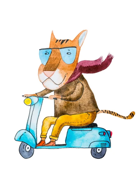 Aquarel tekenen voor cartoon tiger dragen van trendy hipster kleding rijden een motorfiets geïsoleerd op witte achtergrond — Stockfoto