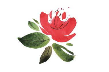 Sulu Boya çizim boyama yaz çayır buket aquarelle taze Bahçe çiçek,