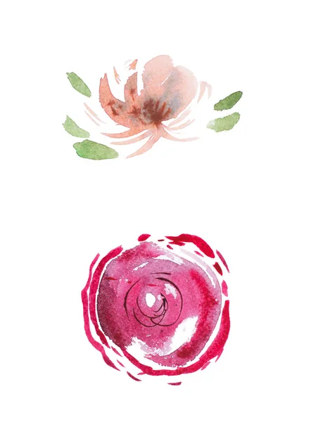 Aquarelle dessin de fleurs de jardin fraîches, été prairie bouquet aquarelle peinture — Photo