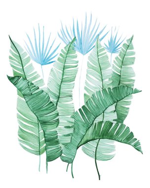 Beyaz arka plan karşı küçük sarı çiçekli yeşil yaprakların aquarelle çizilmiş resim