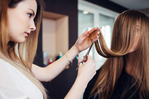 Peluquería recortando las puntas abiertas de la clienta sentada con el pelo largo cubriendo su cara en el salón de belleza —  Fotos de Stock