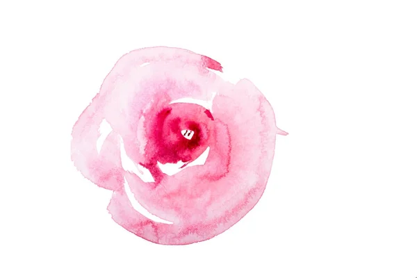 Акварель, рисунок свежих садовых цветов, акварель — стоковое фото