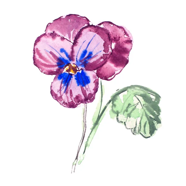 Taze çiçekler aquarelle resim çizim suluboya