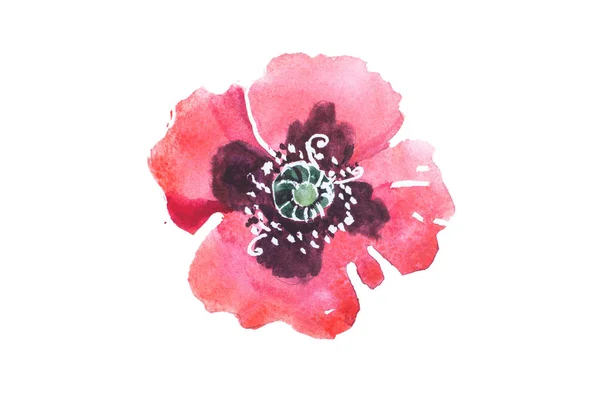 生花 aquarelle 絵画を描く水彩画 — ストック写真