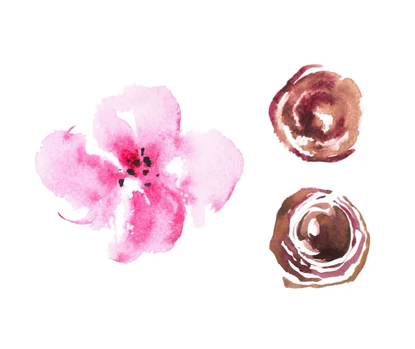 Aquarelle dessin de fleurs de jardin fraîches, été prairie bouquet aquarelle peinture — Photo