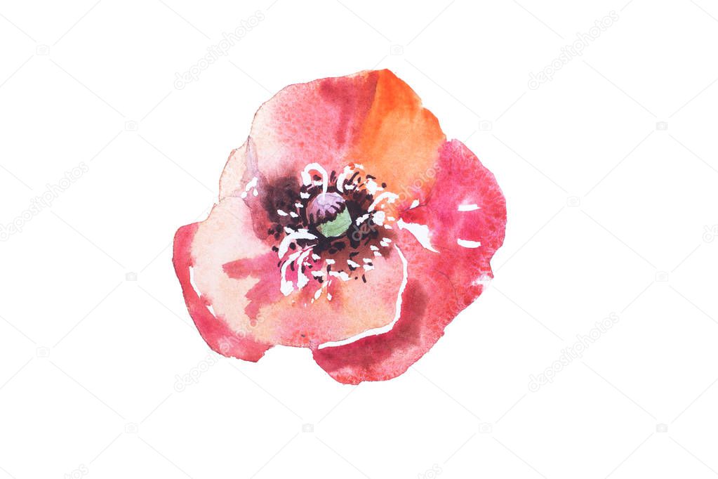 Watercolor drawing of fresh flowers aquarelle painting