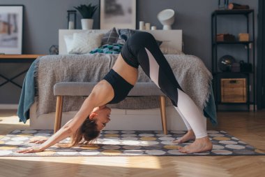 Spor salonundaki kadın köpek yoga pozuna doğru eğiliyor..