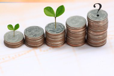 taze iş büyüme concep içinde yığın gümüş sikke için yetiştirilen bitki