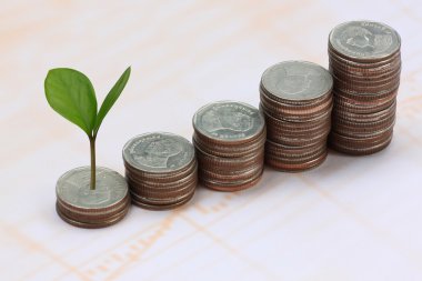 taze iş büyüme concep içinde yığın gümüş sikke için yetiştirilen bitki