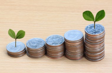 Gümüş sikke yığını ve treetop.