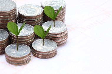 Gümüş sikke yığını ve treetop.