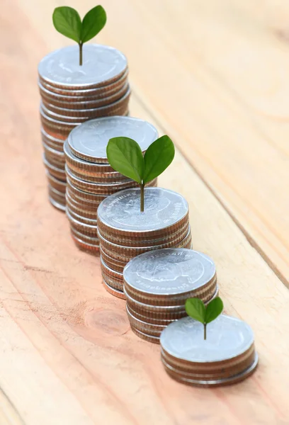 Silver coin stack and treetop. — Stock Photo, Image