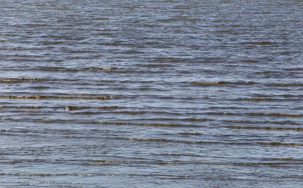 Côte ou bord de mer à marée basse . — Photo